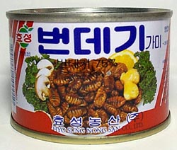 初登場の解読不能食品(爆)、しかも、中身はどう見ても蠱(^-^;